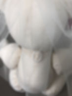 Small Wedding Signature Bear with veil and lace decoration