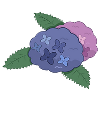 ajisai .png