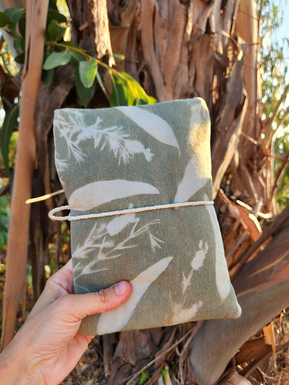 cyanotype et teinture végétale