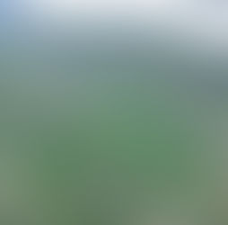 hướng dẫn trekking sapa cùng hướng dẫn viên bản địa