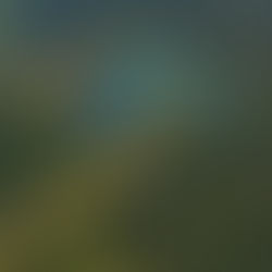 Tandem Paragliding vs. Paramotor Trike Tandem with FlySapa – Which is Right for You?