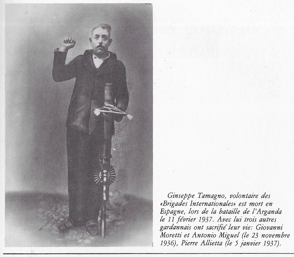 Image3.png