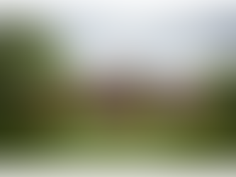 A brick house with colorful shrubs and trees in a green yard under a cloudy sky. Text reads: "More room to grow than you could ever imagine."