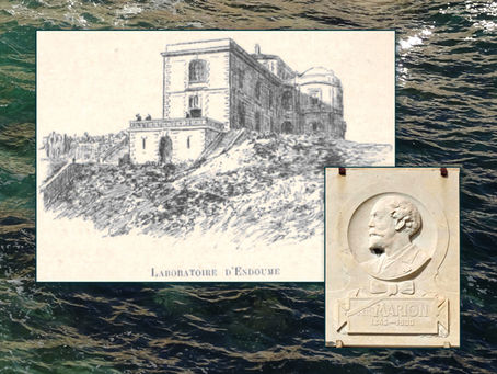 du laboratoire Marion à la station marine d'Endoume