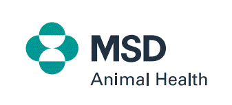 msd logo.gif