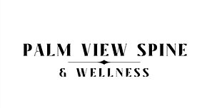Palm View Spine & Wellness LLC.jpg