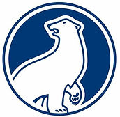Polar Beverage Logo.jpeg
