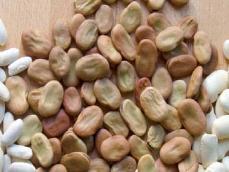 Pequeños productores de Cusco exportarán haba seca pelada a Estados Unidos