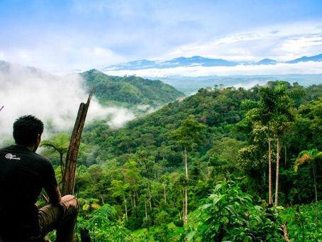 Zonificación forestal en San Martín es política de estado para enfrentar cambio climático
