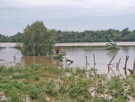Río Tumbes superó nivel crítico de inundación y afectó cultivos