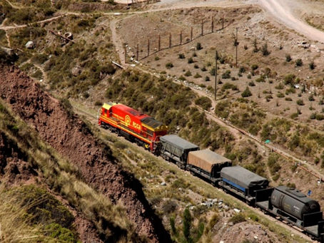 Coronavirus: ferrocarriles del centro y el sur operan con estrictos protocolos de limpieza
