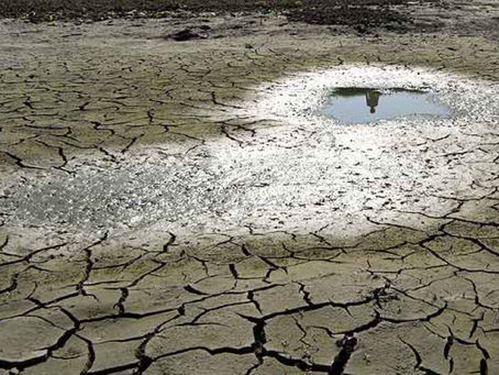 Perú establece metas al 2030 para evitar la degradación de la tierra y del suelo
