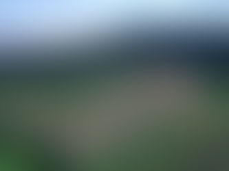 Serfor aplica metodologías prácticas y de bajo costo para detectar degradación de bosques
