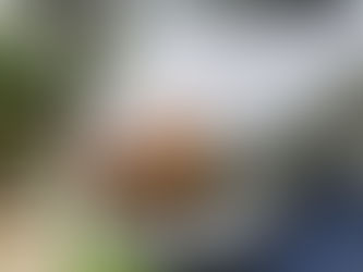 Consumo de alcohol durante la gestación puede derivar en niños hiperactivos
