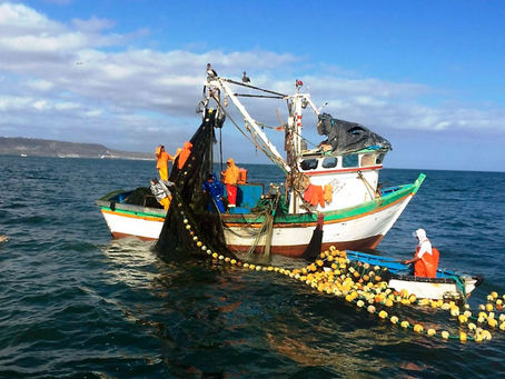 Aprueban Guía para establecer de medidas preventivas en pesca frente a Covid-19