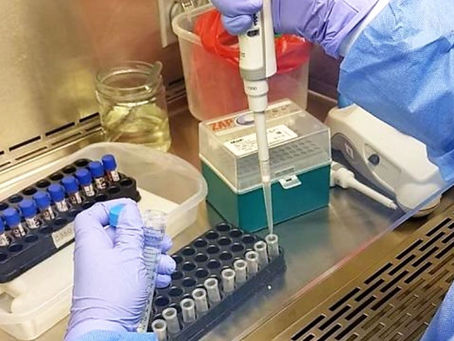Coronavirus: OPS donó 15,000 pruebas moleculares al Instituto Nacional de Salud