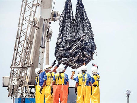 Pesca aportará más de US$ 1,000 millones al PBI