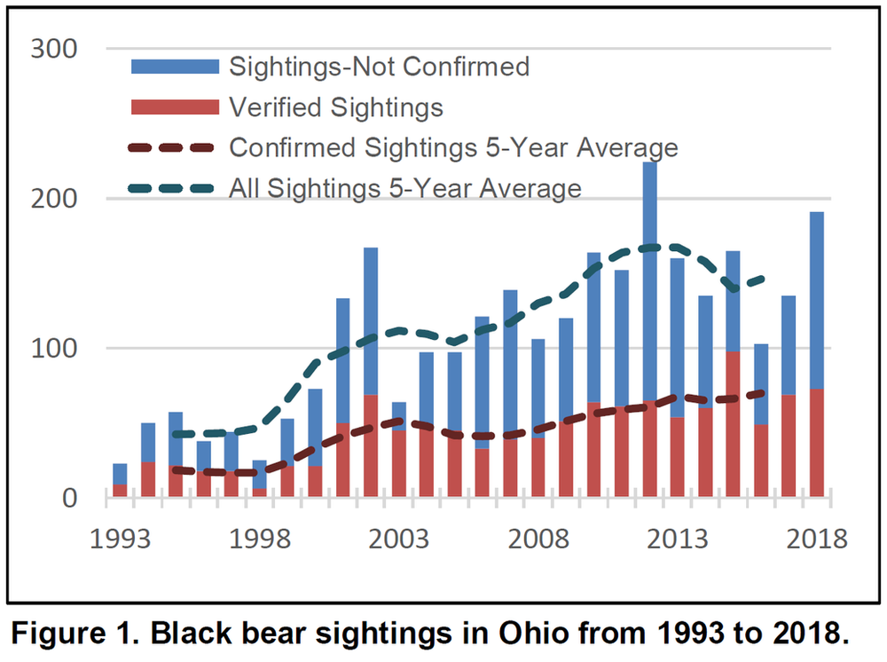 Black Bears in Ohio
