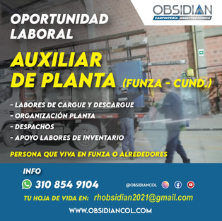 AUXILIAR DE PLANTA