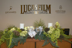 Pictures 2008-2009 259