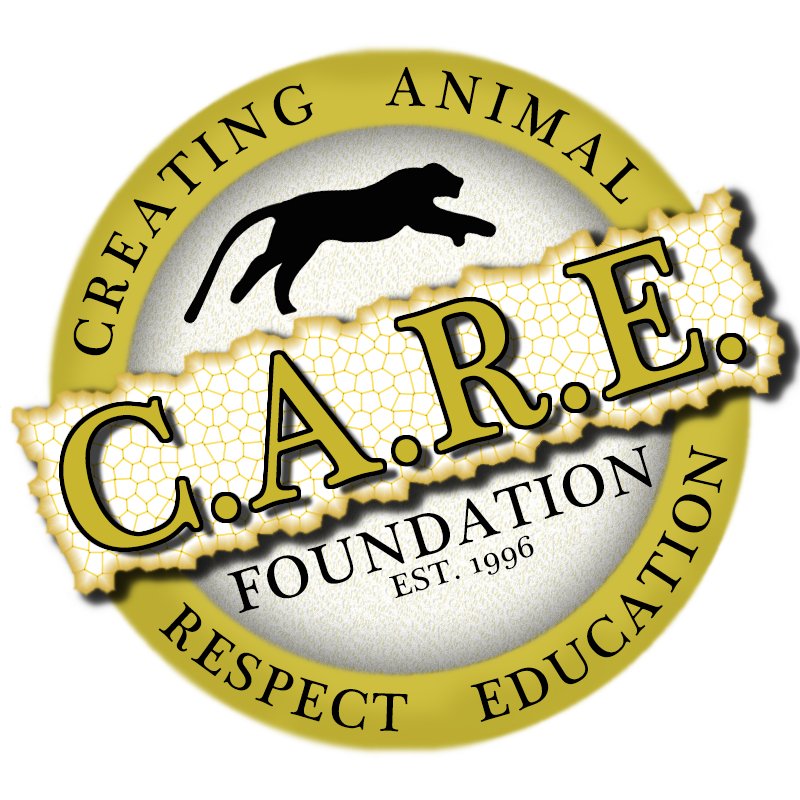 The C.A.R.E. Foundation