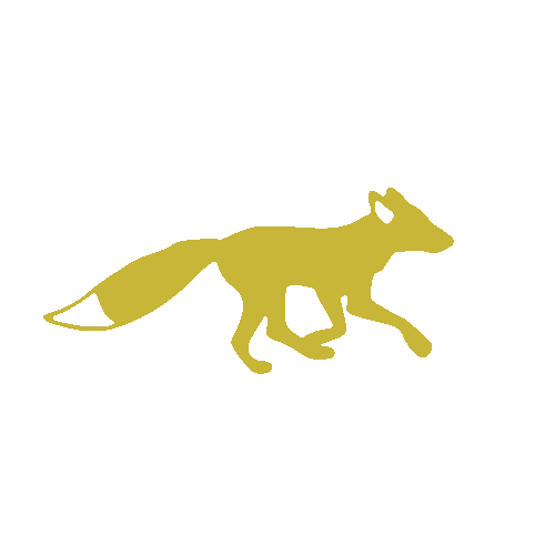 Fox 2.gif