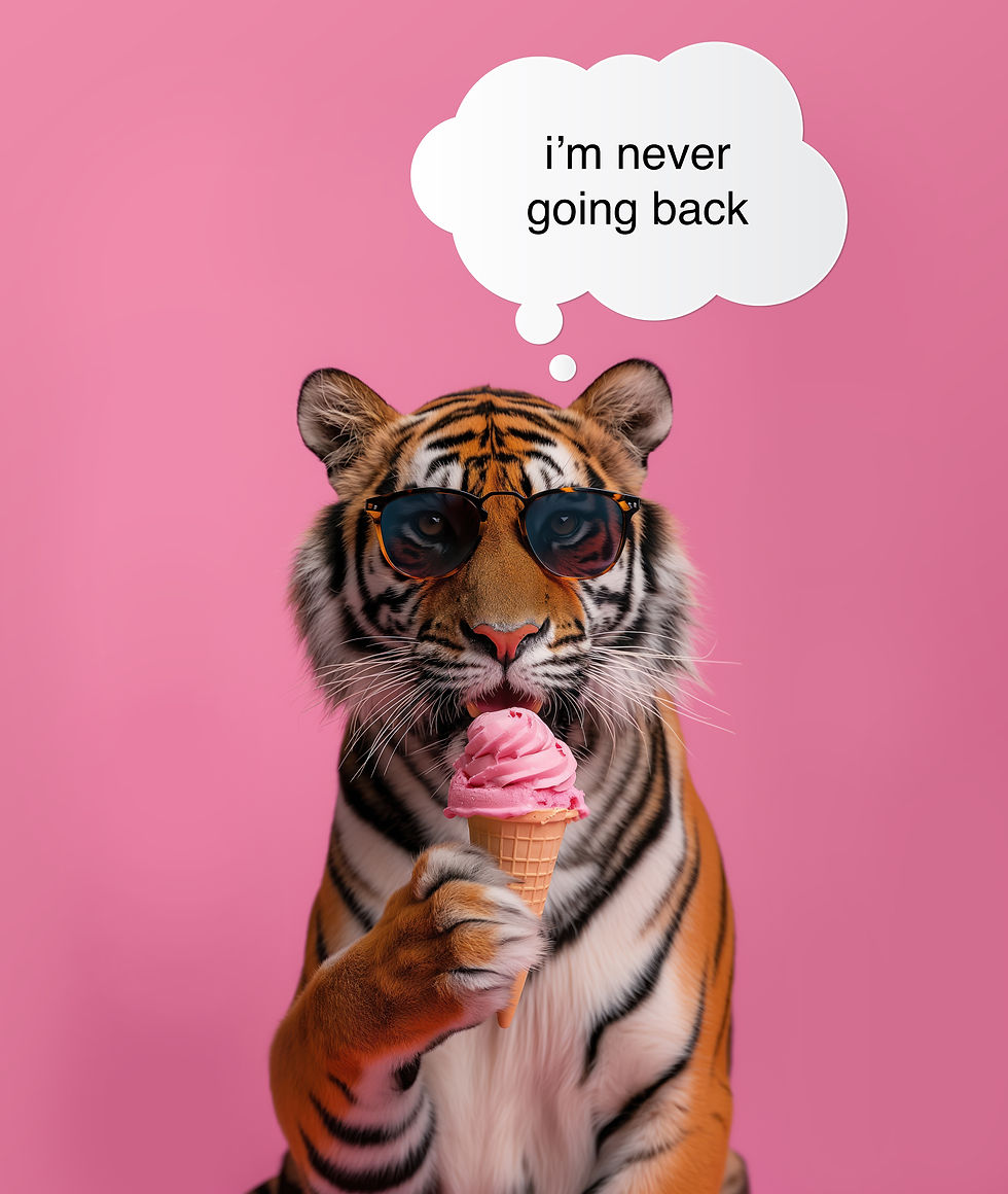 A tiger eating ice cream