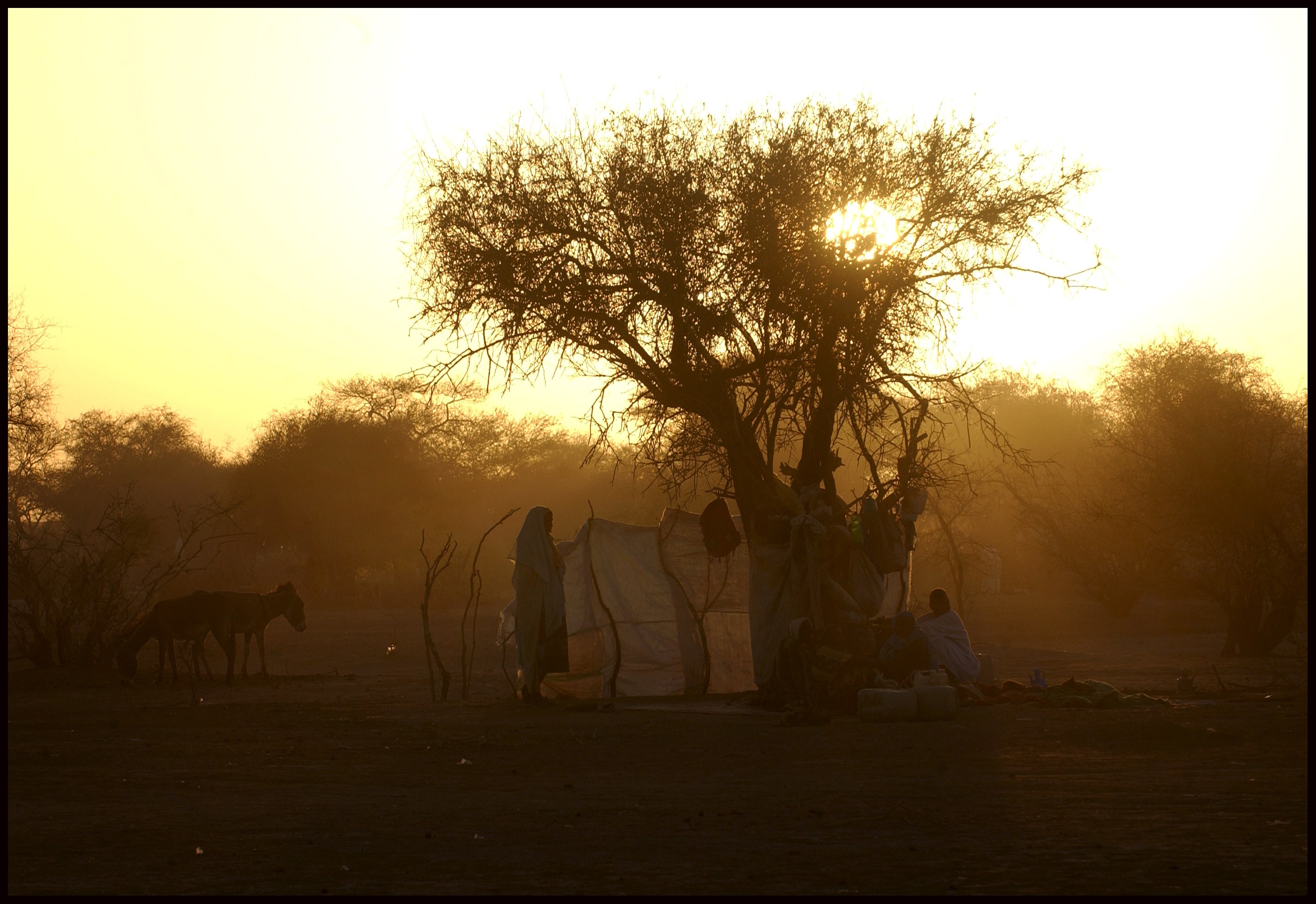 TENT