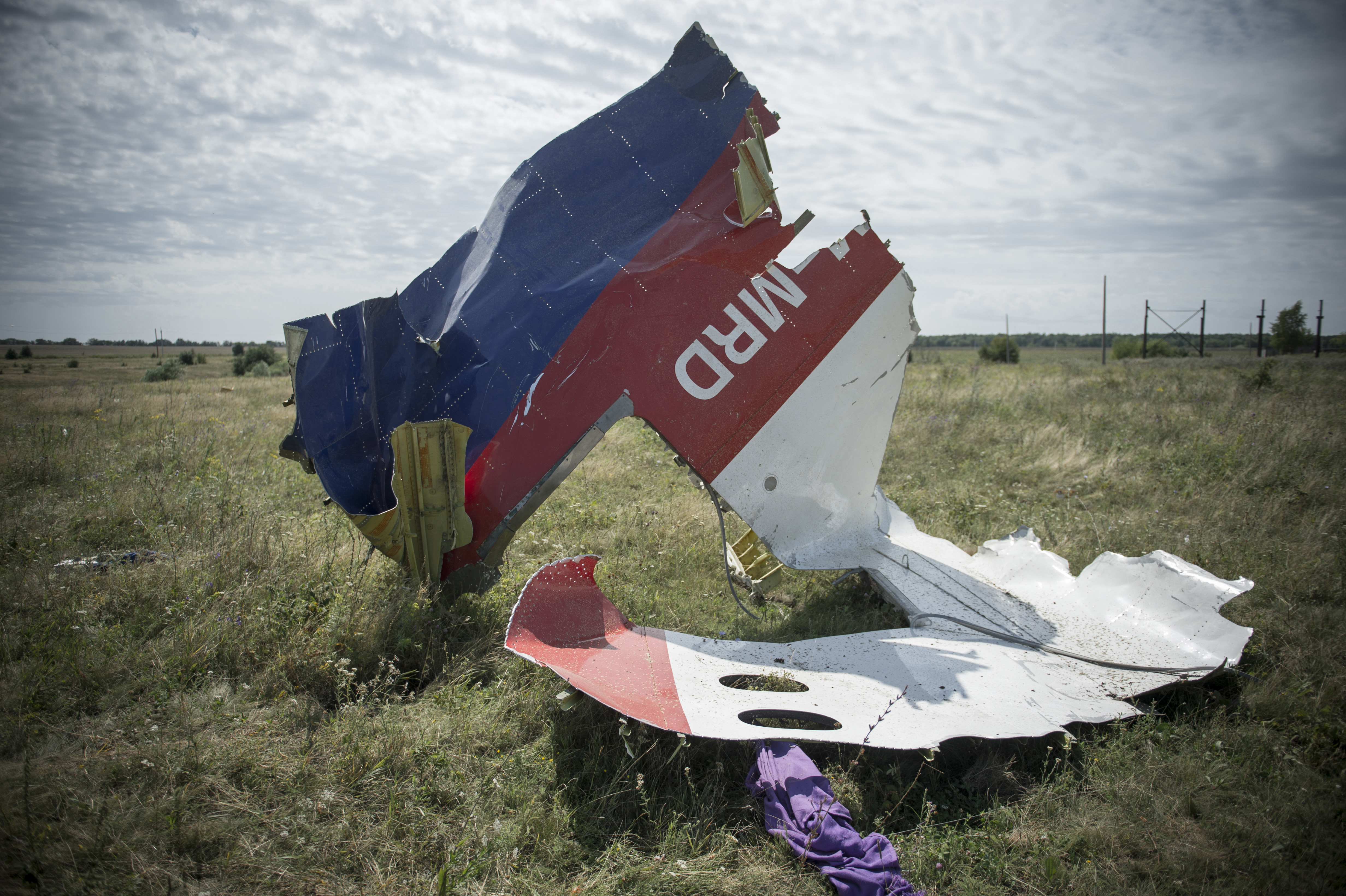 MH17 WING