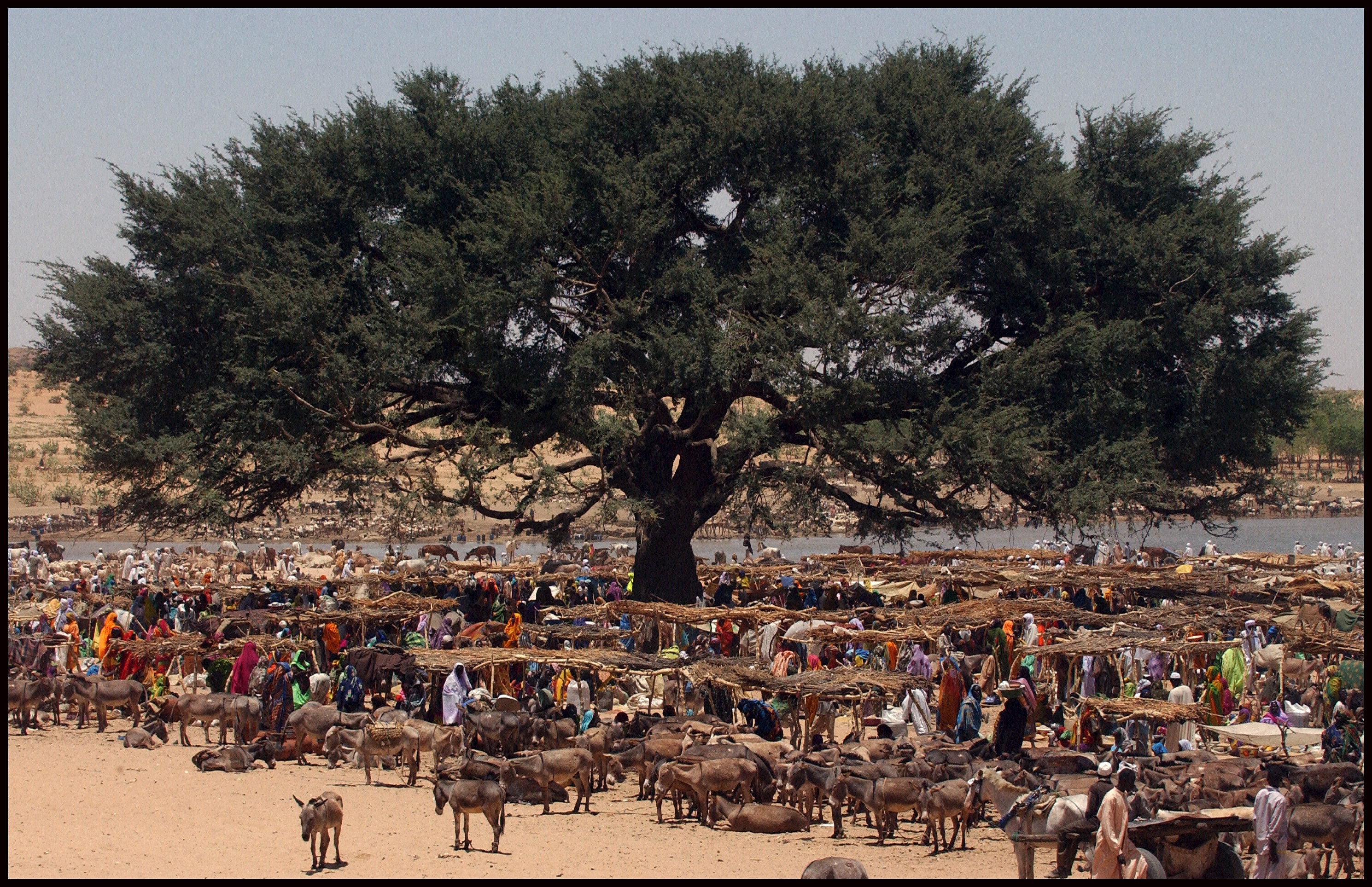 MARKET