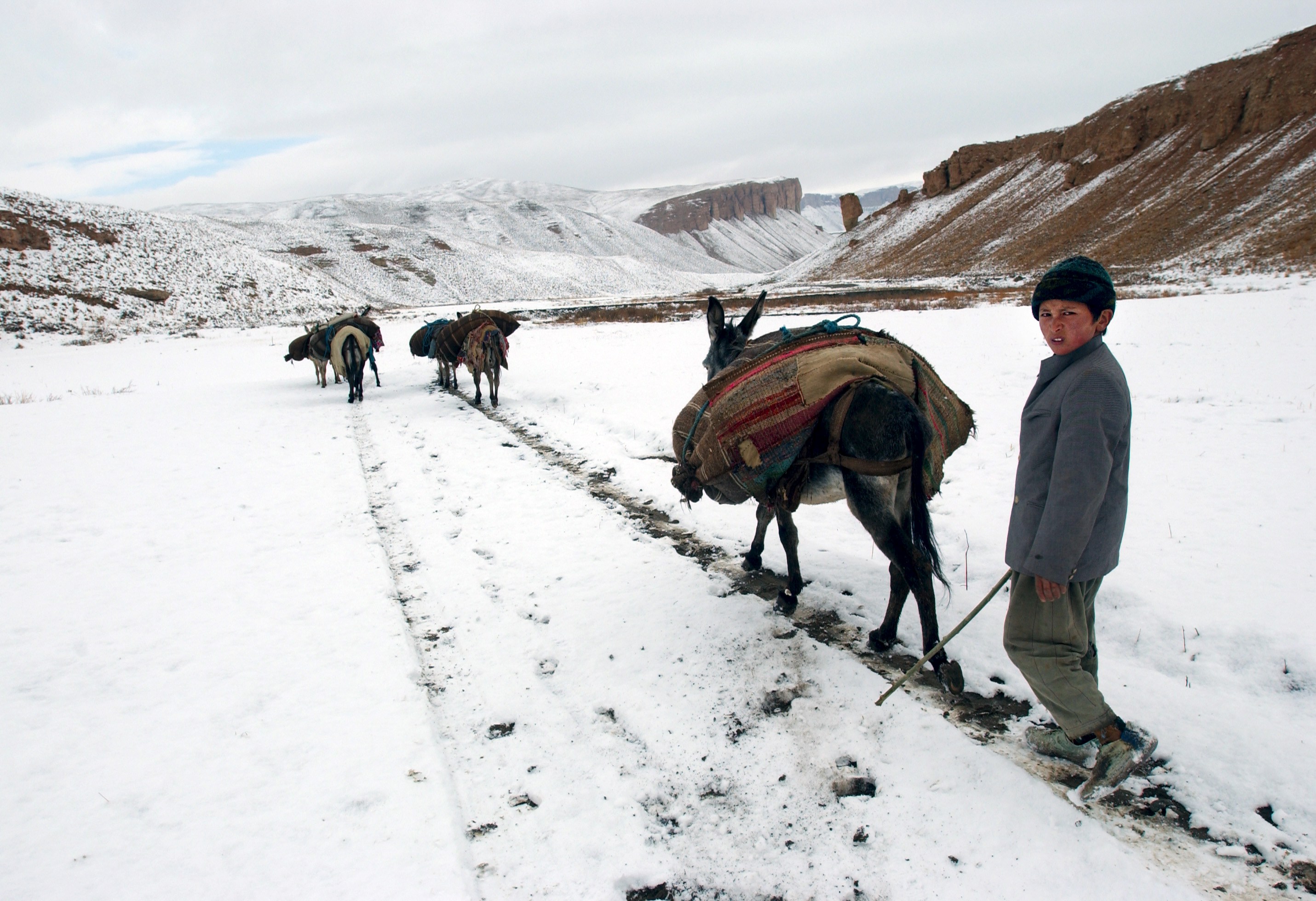 DONKEY ROAD