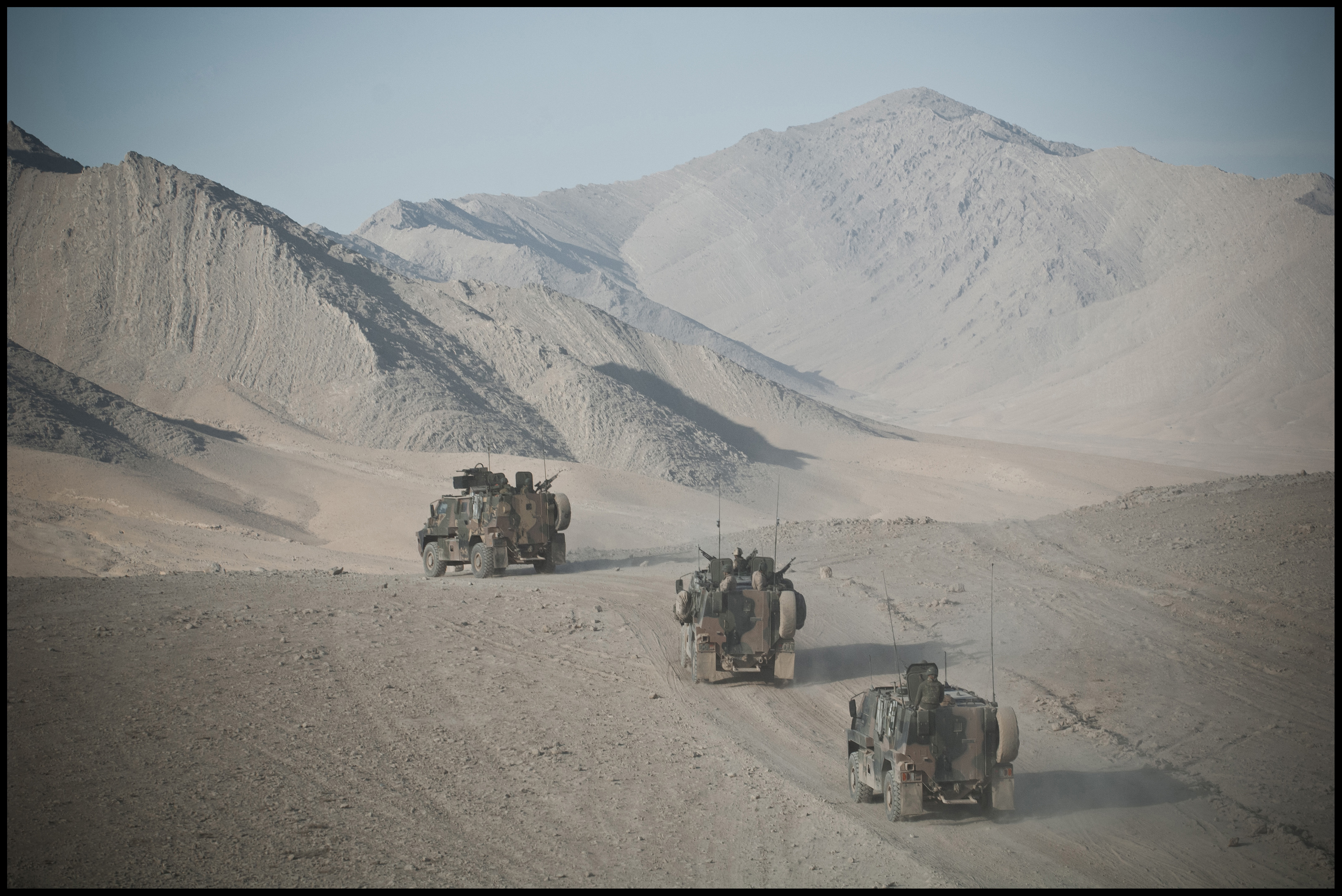BUSHMASTERS
