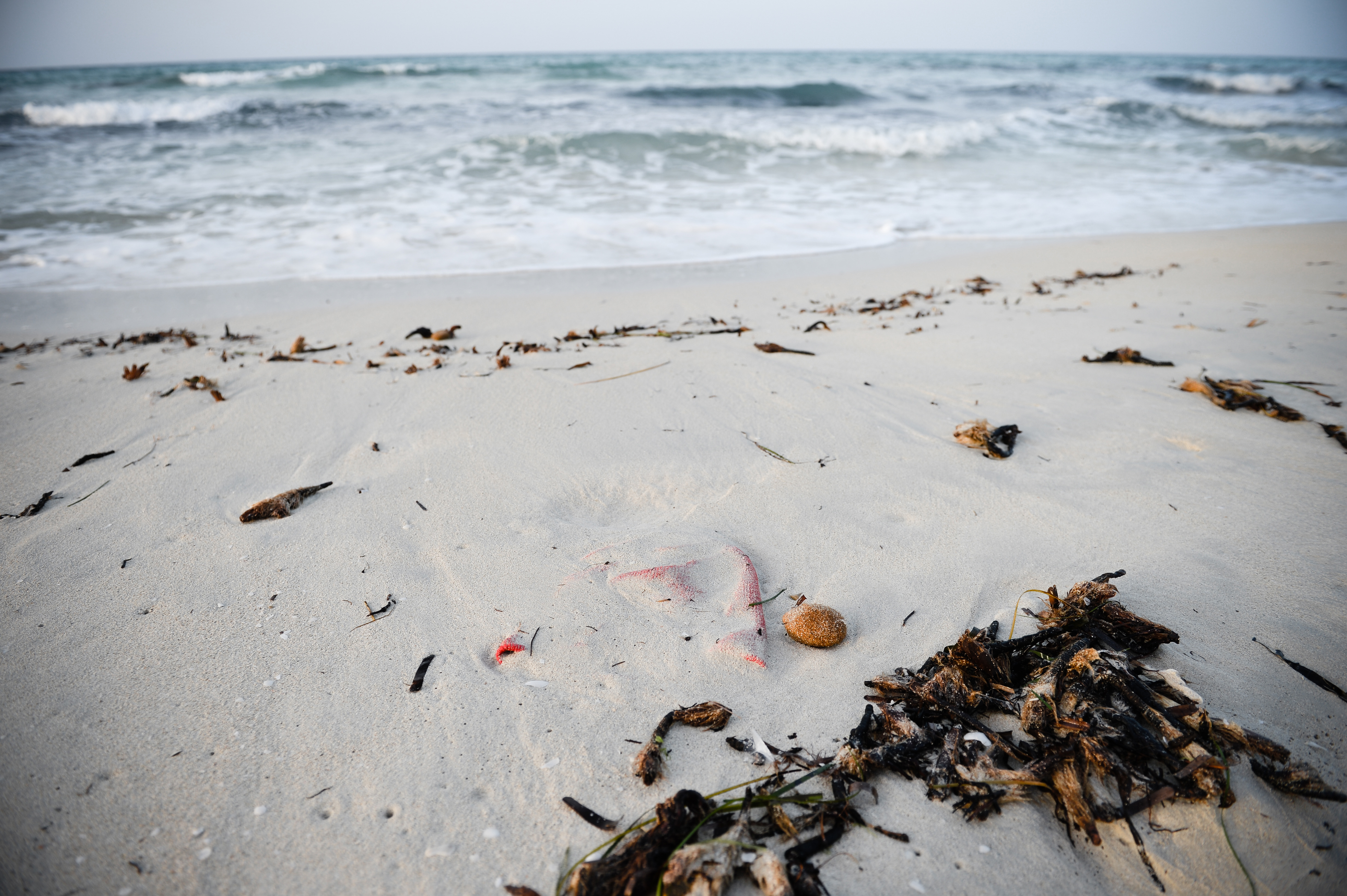 WASHED ASHORE