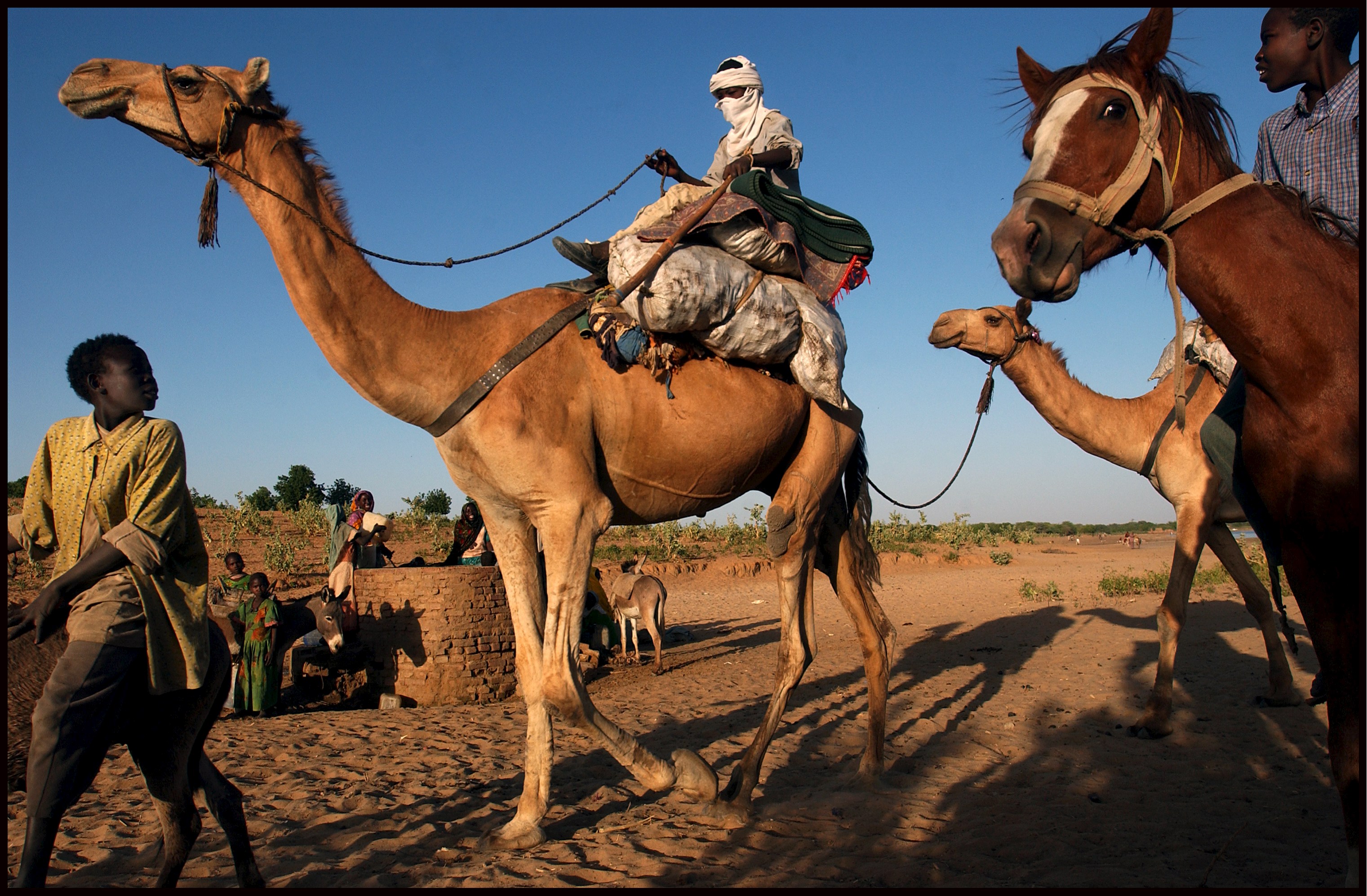 CAMEL DRIVER