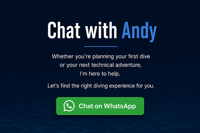Chat with Andy web.png