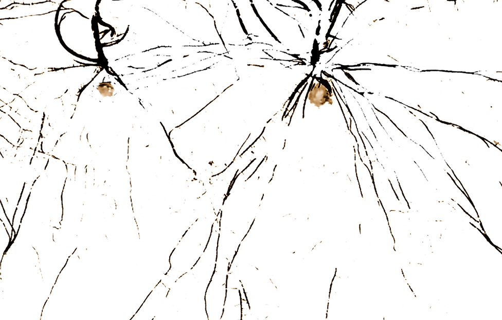Screenshot 2024-09-24 at 18_edited.png