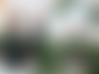 Elegance: Kara and Jordan's Unforgettable Wedding at Lilly Creek Farms. DJ For Wedding.