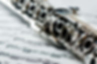 clarinet Woodwinds Musicians Discount Center, Miami, FL