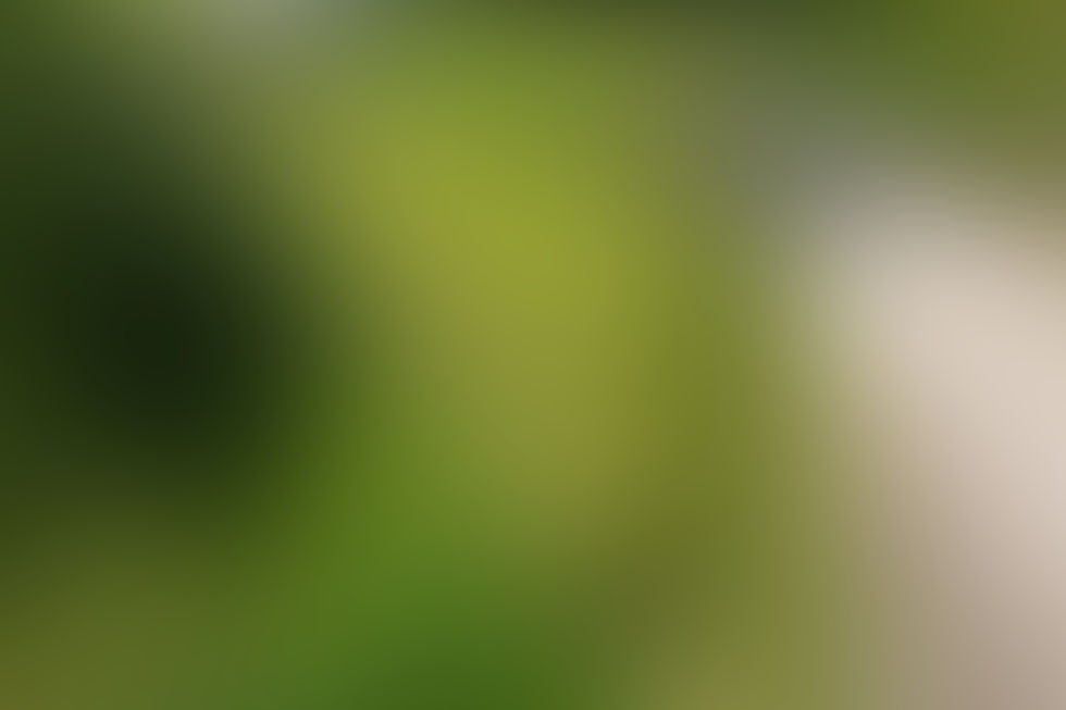 Blur 2.jpg