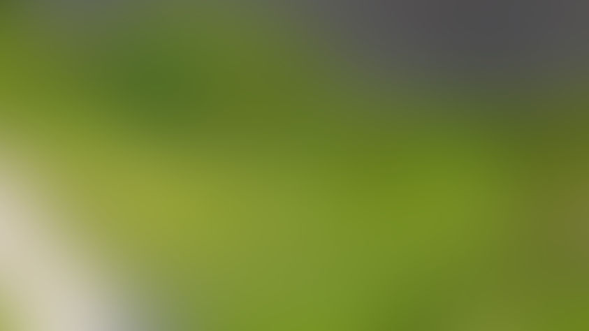 Blur 1.jpg