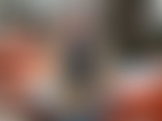 Nederlender ny landslagstrener
