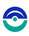 Vision Labs Logo 2