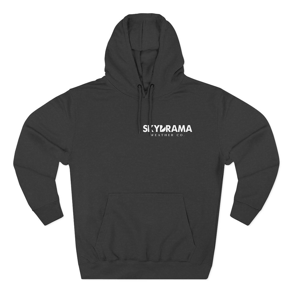Thumbnail: SKYDRAMA Weather Co. Fleece Hoodie