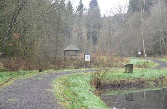 Etang Nr 4 Site de la Tannerie Martelange