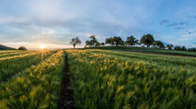 Why the WOTUS case matters