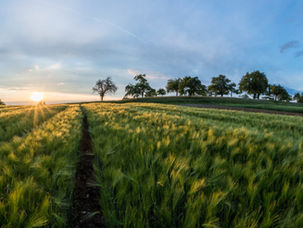 Why the WOTUS case matters