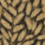 barley.jpg