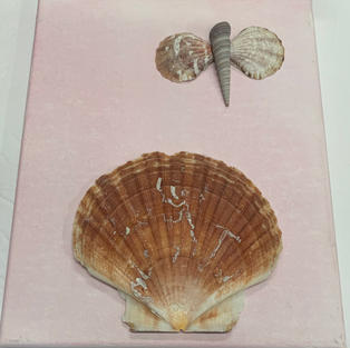 Shell Art - Wall Hanging on Canvas - (8x10)