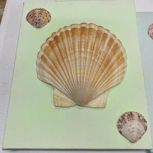 Shell Art - Wall Hanging on Canvas - (8x10)