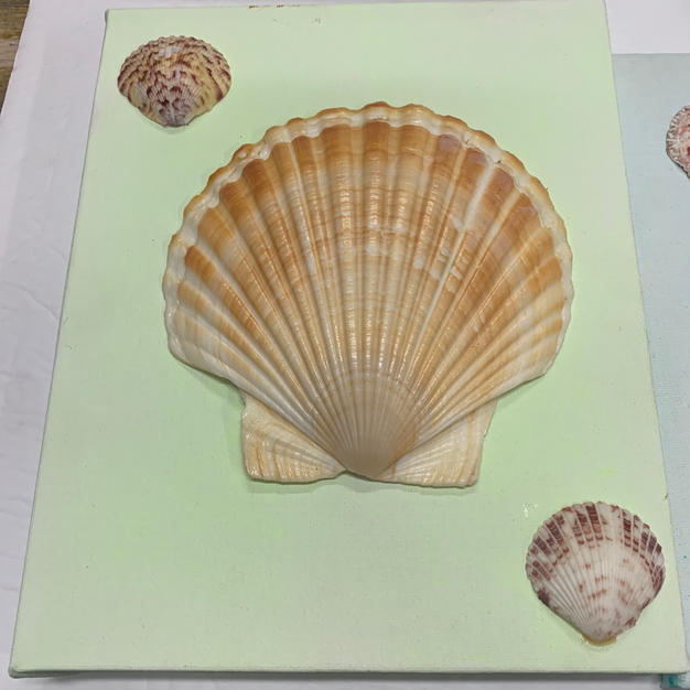 Shell Art - Wall Hanging on Canvas - (8x10)